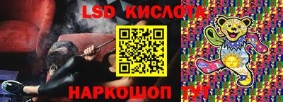 прущие грибы Краснознаменск