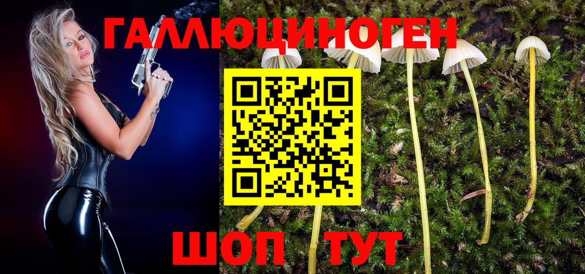 Тимашёвск  Галлюциногенные грибы GOLDEN TEACHER  Галлюциногенные грибы прущие грибы  Вход с VPN 