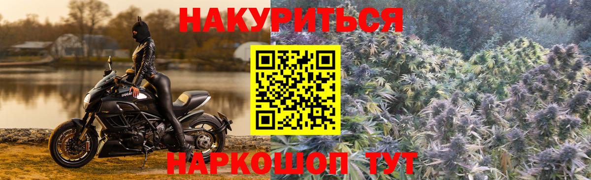 Канабис ГИДРОПОН  МАРИХУАНА тримм  Бошки Шишки AK-47  Тимашёвск  Вход с VPN 